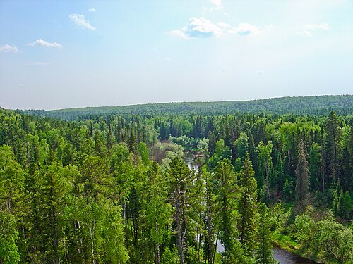 Yugansky Nature Reserve